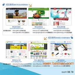 城陽網(wǎng)站建設(shè)指南 選擇青島迅諾網(wǎng)絡(luò)，打造專業(yè)線上平臺