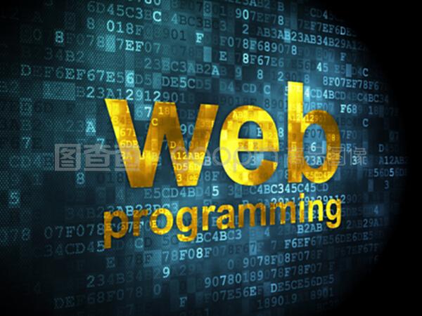 數(shù)字時代下SEO驅動的網頁開發(fā) 融合編程技術與創(chuàng)新服務